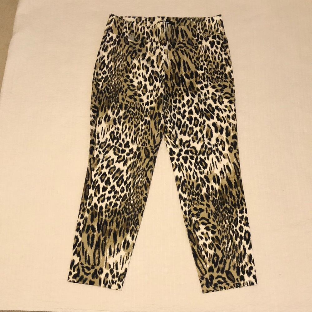 Premise Casual Pants